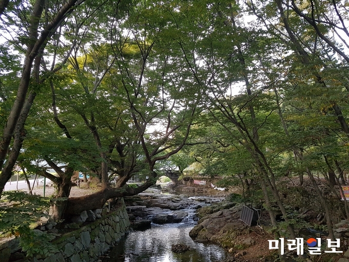 순천 용오름마을 당산숲 / 사진=전남도 제공