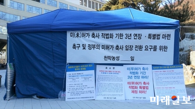 축산관련단체협의회 등 축산인들이 23일 오후 세종시 농림축산식품부 인근에서 미허가 축사 기한을 연장하고 특별법 제정을 촉구하며 천막농성에 돌입한 가운데 농성 천막이 세워져 있다./사진=언론인연대 김용숙 기자