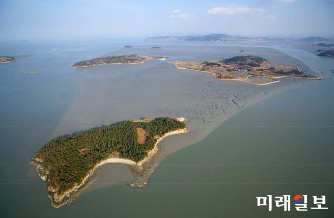 전라남도가 한국의 갯벌로 신안갯벌을 유네스코 세계유산에 등재하기 위한 등재신청서를 문화재청에 제출했다. 사진은 신안갯벌 전경 / 사진=전남도 제공