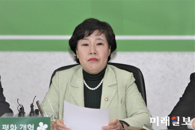 조배숙 민주평화당 창당준비위원장./사진=김정현 기자