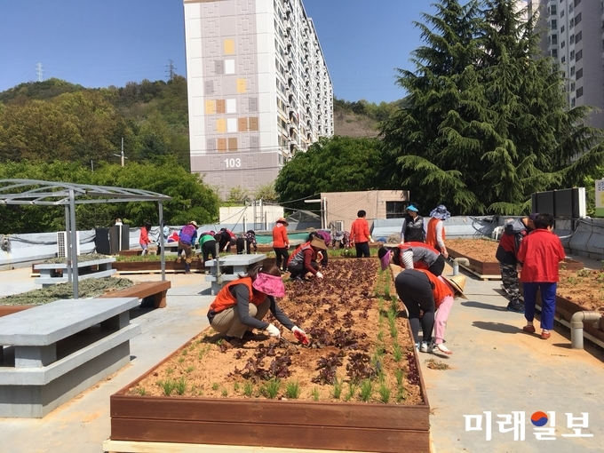 광주 두암종합사회복지관 부설 두암골커뮤니티센터에서 지난 23일 지역주민 및 마을리더들이 모여 도시텃밭에 봄 작물을 심고 있다. / 사진=두암종합사회복지관 제공