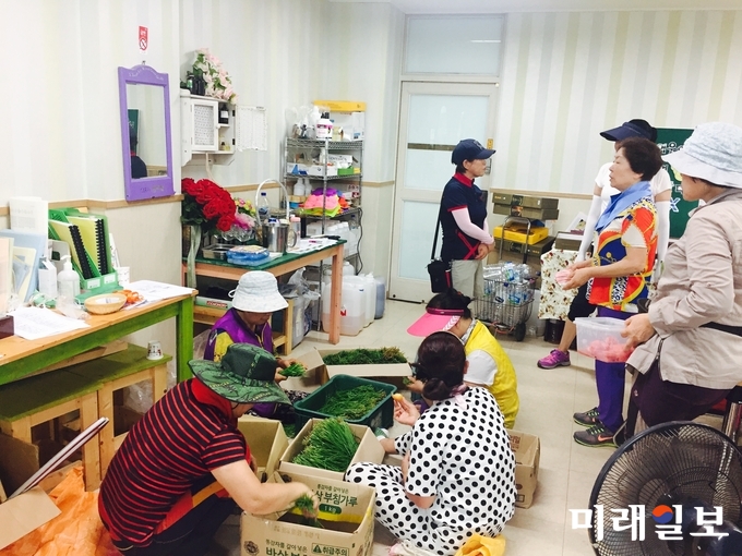 광주 두암종합사회복지관 부설 두암골커뮤니티센터에서 도시텃밭에 심은 봄 작물을 다듬고 있다. / 사진=두암종합사회복지관 제공