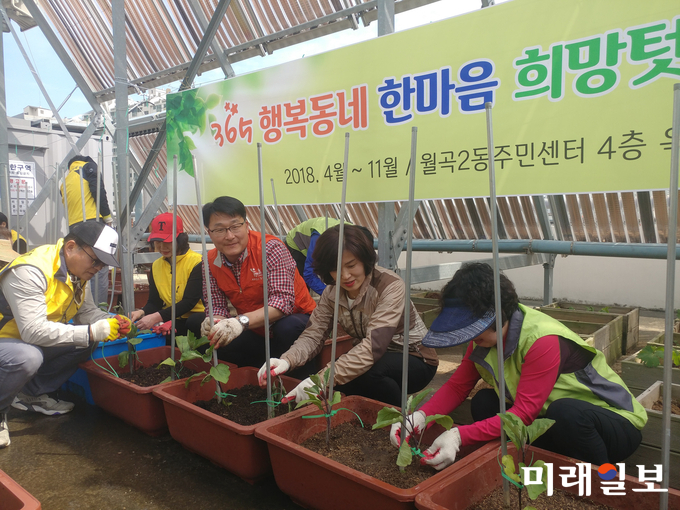 광주 광산구 월곡2동주민센터 옥상에 조그마한 텃밭을 개장했다. / 사진=광산구 제공
