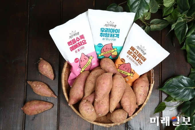 사회적경제기업- 해남 땅끝햇살찬 영농조합법인 아이스고구마 / 사진=전남도 제공