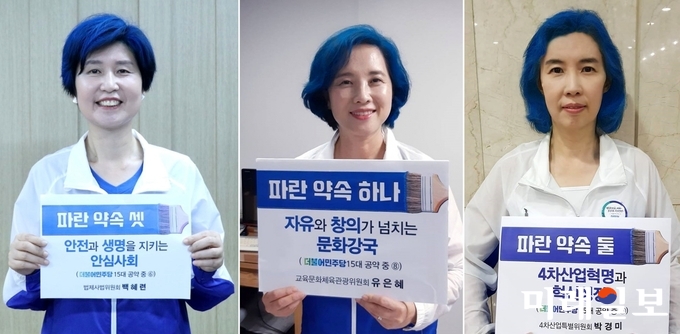 6·13 지방선거의 사전투표율이 20%를 넘기면서 더불어민주당 여성 의원들이 9일 사전 공약에 따라 파란색으로 머리카락을 염색했다. 사진은 백혜련 대변인(왼쪽부터), 유은혜 의원, 박경미 의원./사진=각 의원 페이스북