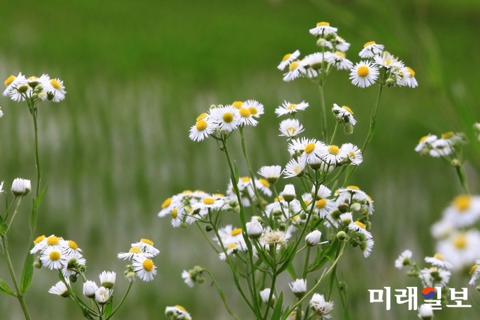 사진=장건섭 기자
