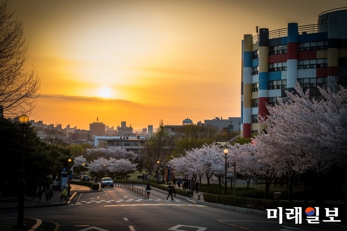 인기상 수상작인 박민서씨의 '노을이 진 벚꽃 하교길' / 사진=동구청 제공