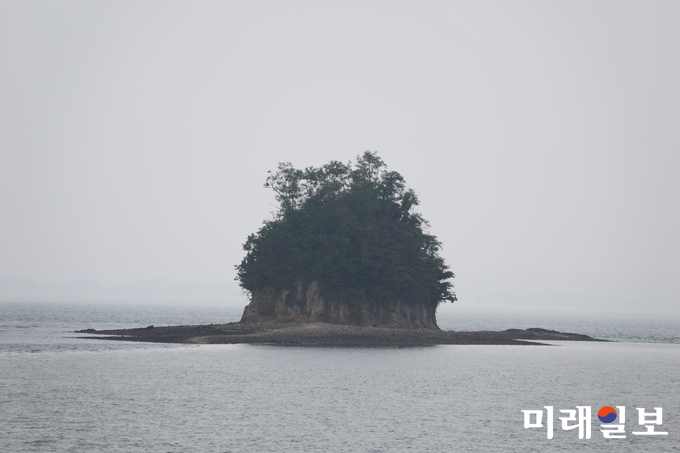 무안 탄도 야광주도