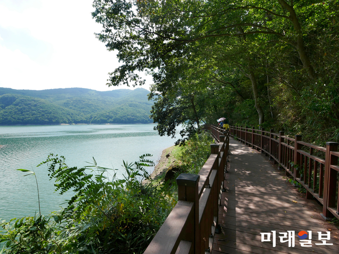장성호 수변길 / 사진=전남도 제공