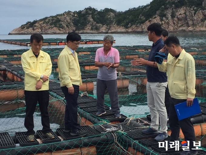 박병호 전남도 행정부지사가 신안 흑산면 다물도, 대둔도, 예리 등의 양식어가를 방문해 피해상황을 파악하고 있다. / 사진=전남도 제공