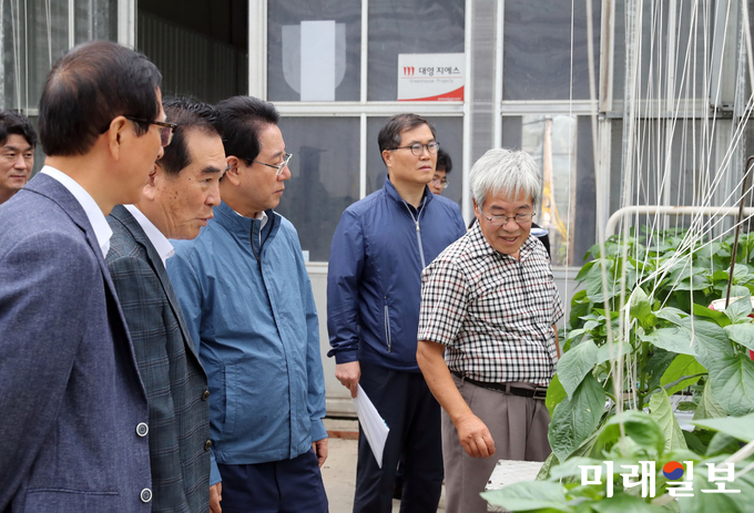 김영록 전남지사가 2일 고흥 흥양영농조합법인(대표 김종율)이 운영하는 농장을 돌아보고 현황을 들었다. 송귀근 고흥군수, 박금래·박진권 도의원과 함께 ‘간척지에서 유리온실의 효용, 빗물을 이용한 작물의 생육상태’ 등을 살피고 관계자들을 격려했다. / 사진=전남도 제공