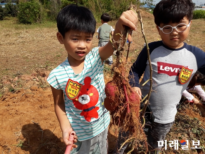전라남도가 식도락 여행에 제격인 함평 상모마을을 9월 가볼만한 농촌체험휴양마을로 추천했다. / 사진=전남도 제공