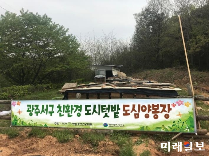 광주시 서구가 풍암동 공영도시텃밭 및 아카시아꽃 군락지에서 생산한 양봉꿀을 어려운 이웃들에게 전달했다. / 사진=서구청 제공