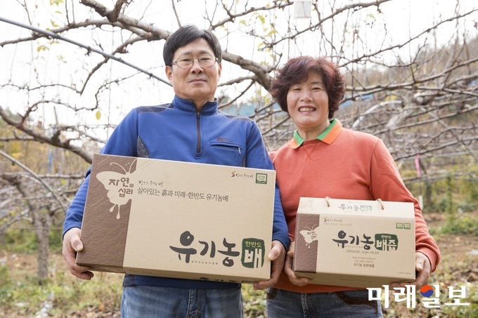 유기농 배를 재배하고 있는 이종상, 조영희 부부 / 사진=전남도 제공