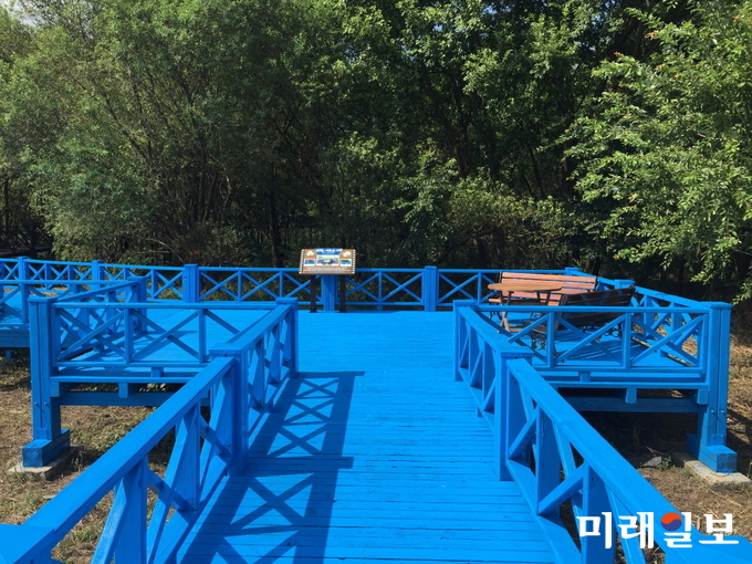 지난 4월 제1차 남북정상회담에서 두 정상이 자연 속에서 담소를 나누는 장면으로 화제를 모은 판문점 도보다리가 광주호 호수생태원에 재현됐다. / 사진=광주시 제공