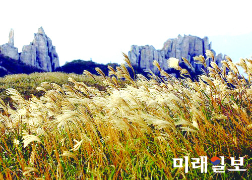 장흥 천관산