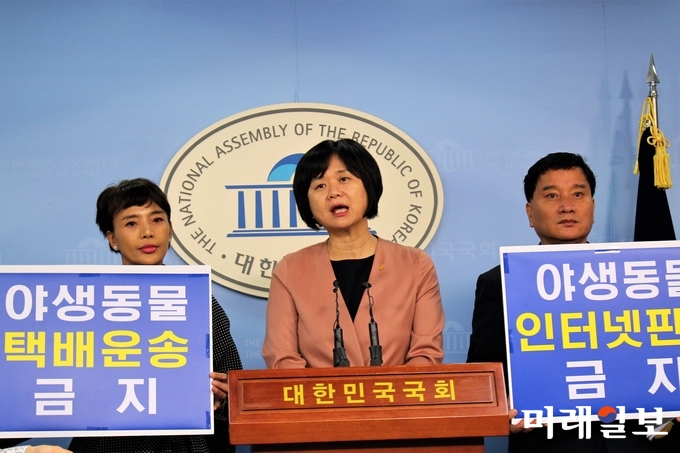 이정미 정의당 대표가 2일 오전 국회 정론관에서 야생동물판매 허가제 도입 및 인터넷 등 판매를 금지하는 '야생생물 보호 및 관리에 관한 법률(이하 야생생물법)' 개정안 발의 기자회견을 하고 있다./사진=김정현 기자