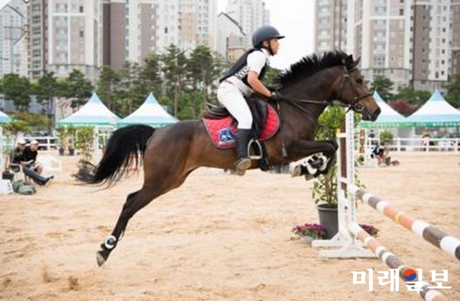 지난해 열린 가족과 함께하는 유소년승마축제에서 한 선수가 장애물을 넘고 있다./사진=경기도 제공