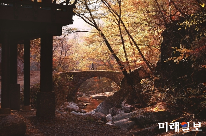 순천 선암사 / 사진=전남도 제공