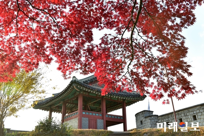 단풍이 핀 수원화성 성곽 모습./사진=수원시 제공
