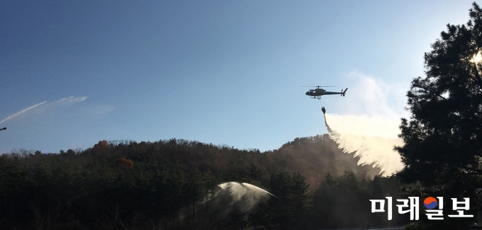 실시하고 있다./사진=경기도 제공