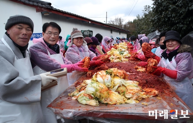 한파가 찾아 온 지난 7일 전남 강진군 군동면 남미륵사 경내가 4만 5천 포기의 김장을 담느라 붉은색으로 물든 가운데 자원봉사자들이 대설의 추위도 잊은 채 쉴 새 없이 움직이고 있다. 이승옥 강진군수도 동참하고 있다. / 사진=강진군 제공