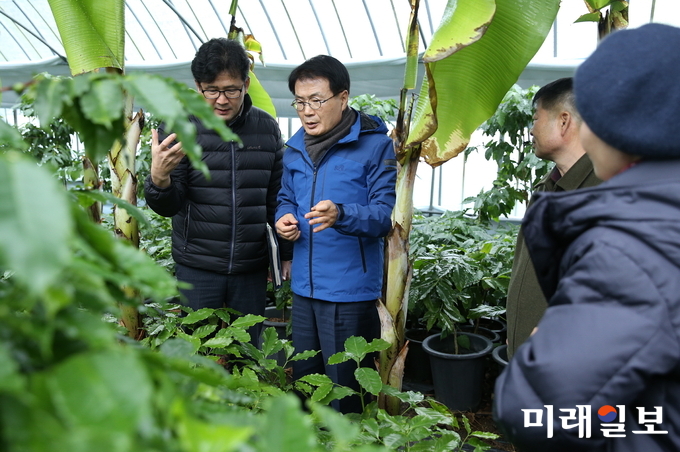 이승옥 강진군수가 아열대과수 재배 현장을 찾아 농업인들의 목소리를 청취하고 있다. / 사진=강진군 제공