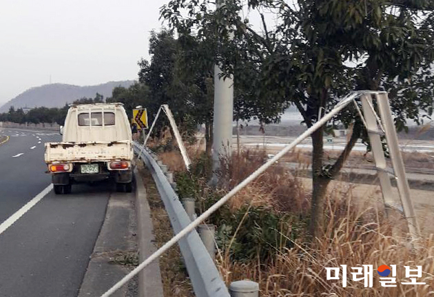 전남 강진군은 가로수 전정으로 안전사고를 예방하고 수목의 생육 환경을 개선하기 위해 지난 12월 초부터 시작한 국도 2호선 총 24km 구간 가시나무 약 4000여주에 대해 가지치기 작업을 완료했다. / 사진=강진군 제공