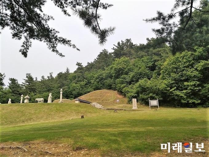 경기도 남양주시 화동읍 창현리 흥선대원군 묘역 전경./사진=경기도 제공