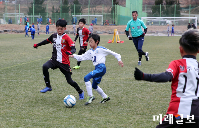전남 강진군 종합운동장 축구전용경기장에서 지난 2일부터 동계전지훈련에 들어간 전국 초등학교 23개 팀 선수들이 연습경기와 개인훈련을 하고 있다. / 사진=강진군 제공