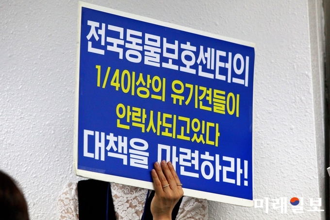 동물권단체 '케어' 박소연 대표가 19일 오전 서울 서초구의 한 빌딩에서 구조동물 비밀 안락사 파문과 관련해 입장을 밝히고 있는 가운데 지지자들이 '전국동물보호센터의 1/4 이상의 유기견들이 안락사 되고 있다'는 피킷을 들고 있다./사진=장건섭 기자