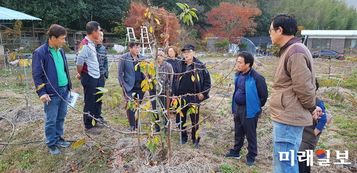 2018년도 체리농가 교육장면 / 사진=강진군 제공