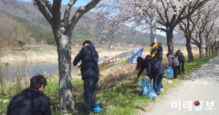 전남 강진군 대구면에서는 벚꽃 개화시기에 관광객들에게 깨끗하고 아름다운 경관을 제공하기 위해 벚꽃길을 돌며 환경정화 활동을 펼쳤다. / 사진=강진군 제공