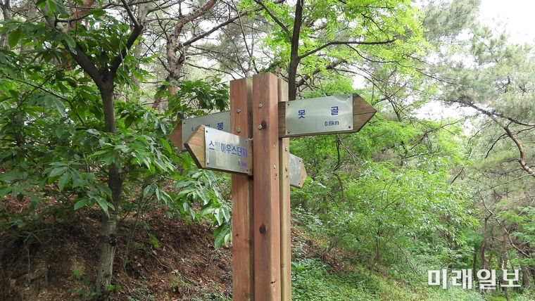 김모씨 소유의 임야에 무단으로 설치된 길안내 표지판./사진=장건섭 기자