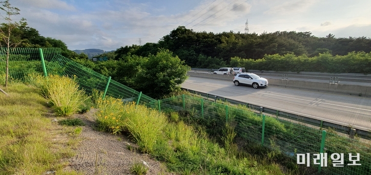 경상북도 포항시 남구 연일읍 학전리 천주교대구대교구 지곡성당과 붙은 약 90m의 영일만 대로변 완충 국유지 앞으로 영일만대로가 개설되어 있다./사진=장건섭 기자