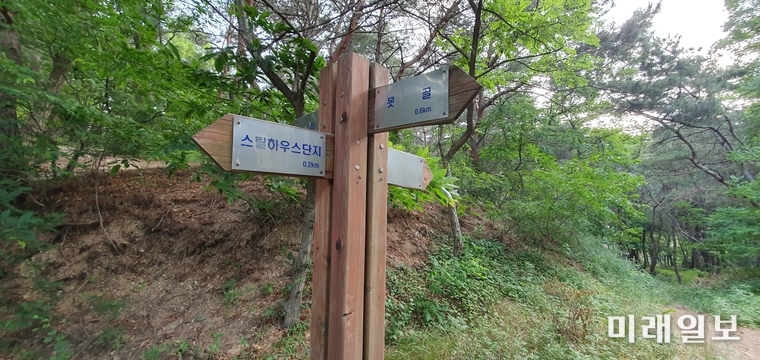 경상북도 포항시 남구 연일읍 학전리 A씨 소유의 임야에 무단으로 설치된 길안내 표지판./사진=장건섭 기자