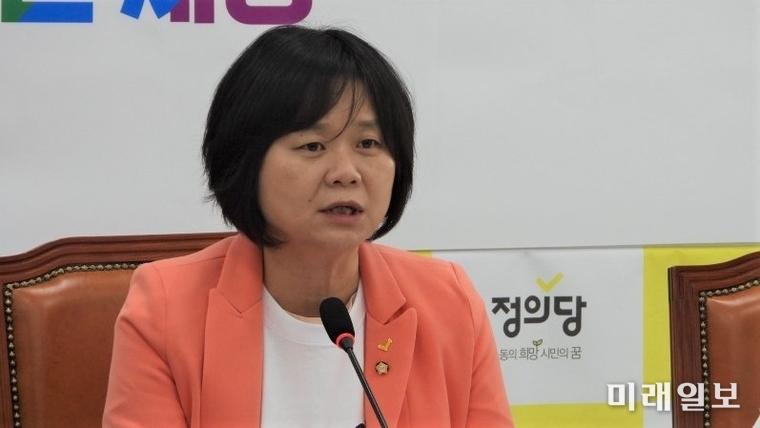 이정미 정의당 대표./사진=장건섭 기자
