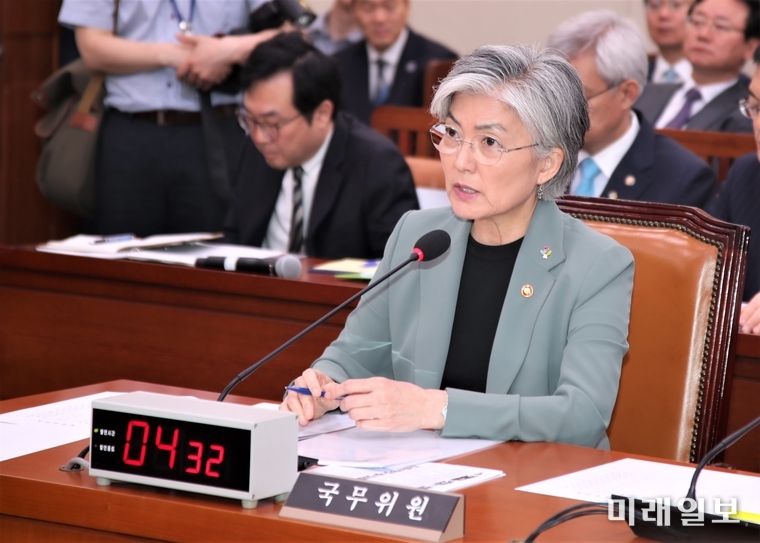 강경화 외교부 장관이 25일 열린 국회 외교통상위원회에 참석, 답변하고 있다./사진=국회기자단 김진혁 기자