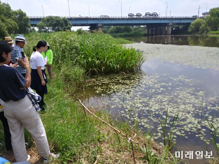 황룡강 장록습지
