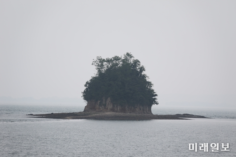 야광탄도