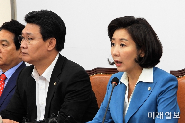 나경원 자유한국당 원내대표가 10일 오전 국회에서 열린 원내대표·중진의원 연석회의에서 발언하고 있다./사진=장건섭 기자