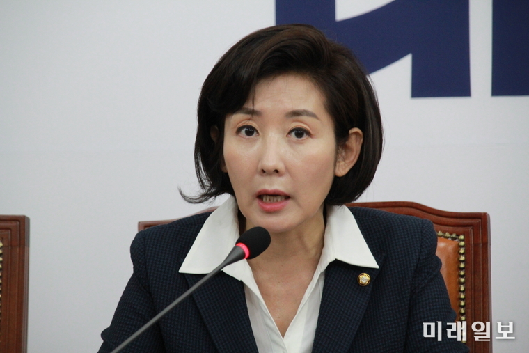 나경원 자유한국당 원내대표./사진=김정현 기자