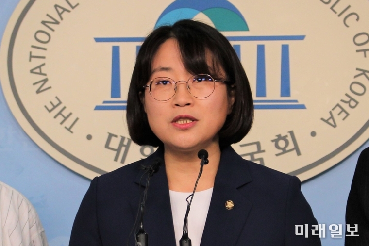 추혜선 정의당 원내수석부대표./사진=김정현 기자