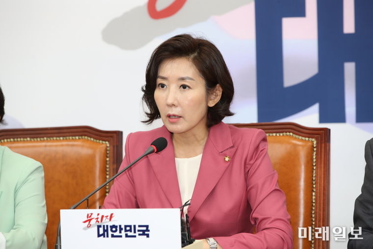 나경원 자유한국당 원내대표./사진=김정현 기자