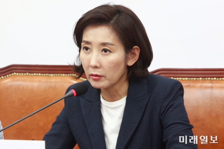 나경원 자유한국당 원내대표가 8일 오후 서울 여의도 국회에서 열린 긴급기자회견에서 발언하고 있다./사진=장건섭 기자