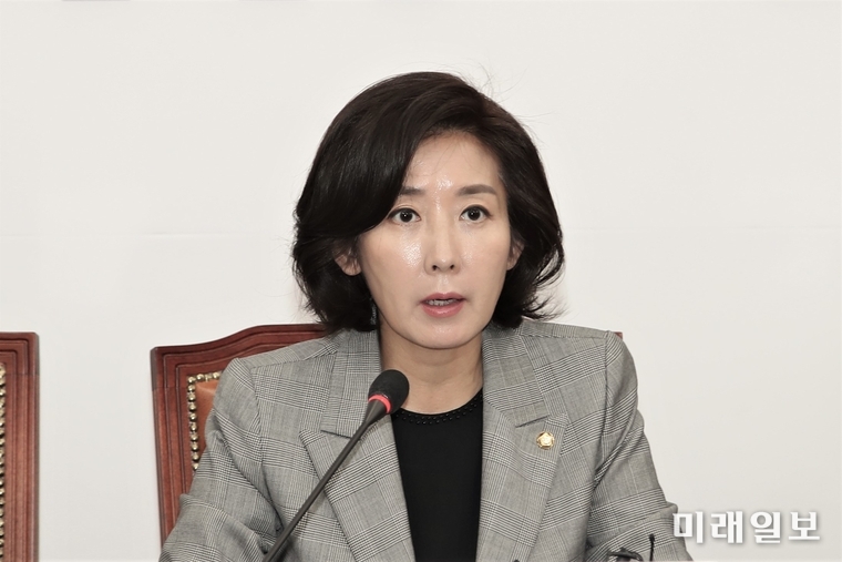 나경원 자유한국당 원내대표./사진=김정현 기자