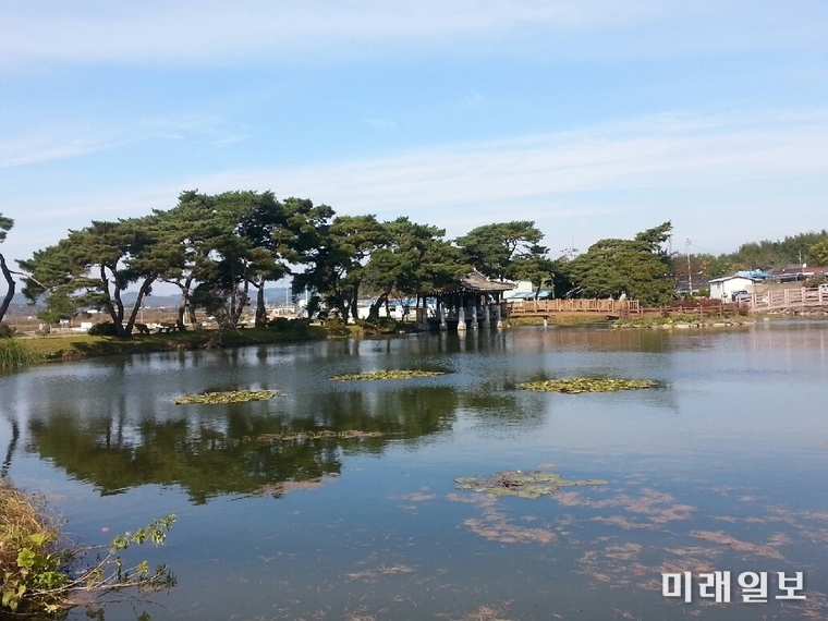 함평 원곡마을 숲 / 사진=전남도 제공