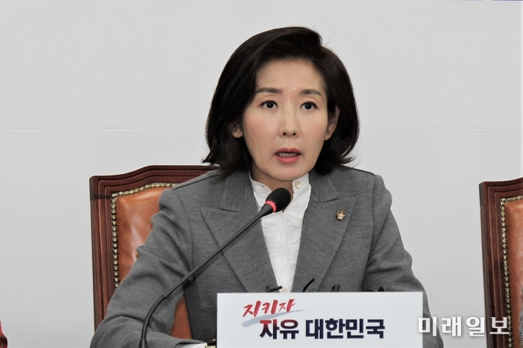 나경원 자유한국당 원내대표./사진=김정현 기자
