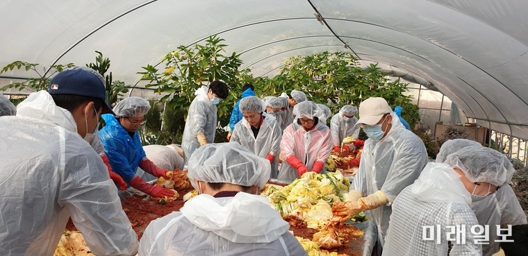 전남도청 직장 동우회인 ‘위더스 봉사단’이 23일 함평 소재 요양원인 ‘백향목의 집’을 찾아 김장 담그기로 따스한 사랑의 손길을 나눴다. / 사진=전남도 제공