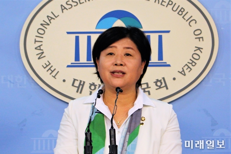 서영교 더불어민주당 의원./사진=김정현 기자